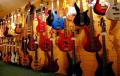 Norfolk Guitar and Bass Centre image 7