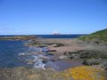 North Berwick image 4