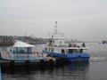 North Shields Ferry Terminal image 4