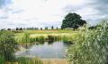 North Weald Golf Club image 2