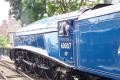 North Yorks Moors Railway image 9