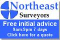 Northeast Surveyors logo