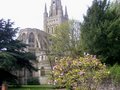 Norwich Cathedral image 3