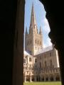 Norwich Cathedral image 8