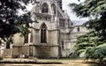 Norwich Cathedral logo