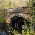 Notter Bridge Country Park image 2