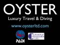 OYSTER - PADI Scuba Diving Courses in London image 1