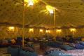 Oasis Specialist Tent Hire image 1