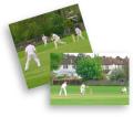 Old Colfeians Cricket Club image 1