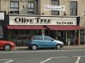 Olive Tree logo