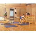 Olympic Gymnasium Services image 7