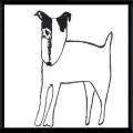 One Eye Dog, rehearsal rooms logo