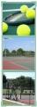 Onslow Village Lawn Tennis Club logo
