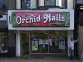 Orchid Nails logo