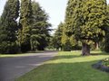 Ormeau Park image 6
