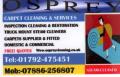 Osprey carpet cleaning & services image 1