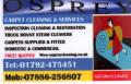 Osprey carpet cleaning & services logo