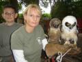 Owl & Bird Of Prey Sanctuary image 1