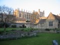 Oxford Cathedral image 4