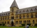 Oxford University Museum of Natural History image 2