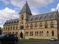 Oxford University Museum of Natural History image 5