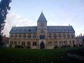 Oxford University Museum of Natural History image 10