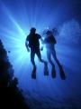 Oyster - Scuba Diving Courses in Surrey & Berkshire image 3