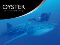 Oyster - Scuba Diving Courses in Surrey & Berkshire logo