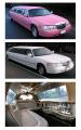 PINK LIMO HIRE logo