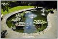 PONDS UK - Pond Management & Construction image 7