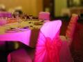 POSH CHAIR COVERS AND BOWS image 6