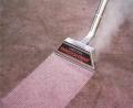 PRO-CLENZE CARPET CARE image 2