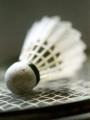 PTW Badminton Club image 1
