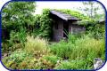 Paddock Farm Water Gardens image 6