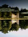 Painshill Park image 2