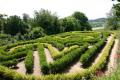 Painswick Rococo Garden image 2