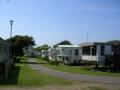 Pakefield Caravan Park image 2