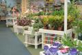 Palmers Garden Centre image 2