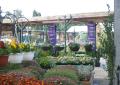 Palmers Garden Centre image 4