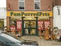 Pampurred Pets image 1