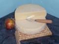 Pant Mawr Farmhouse Cheese image 4