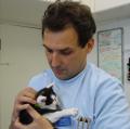 Park Vets Raynes Park (Raynes Park Veterinary Surgery) image 2