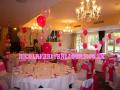 Party Balloons Decorator logo