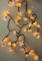 Party String Lights Ltd image 1