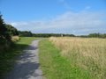 Pembrey ski centre image 4