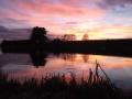 Pendle View Fishery image 2