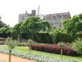 Penshurst Place & Gardens image 9