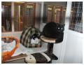 Penthouse Catteries image 5