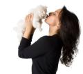 Pet Home Care Wales image 1