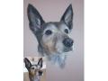 Pet Portraits from photographs image 9